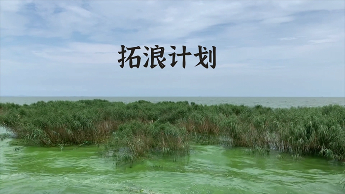 “拓浪计划”将污染变为艺术 清华学子让蓝藻成为作品